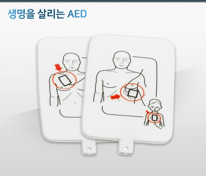 ǰ 